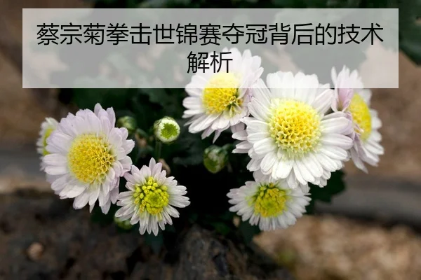 蔡宗菊拳击世锦赛夺冠背后的技术解析