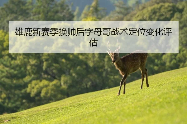 雄鹿新赛季换帅后字母哥战术定位变化评估